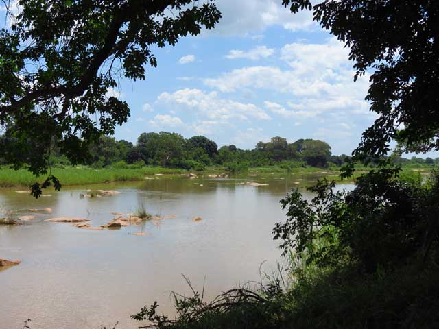 African river where the leguaan live - Wildmoz.com
