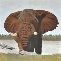 An Elephant Painting