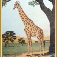 How Giraffe Stretched His Neck